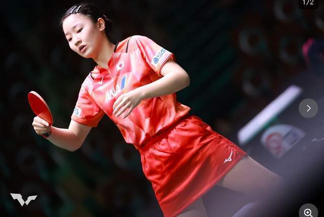 P标准与争 P标准与争