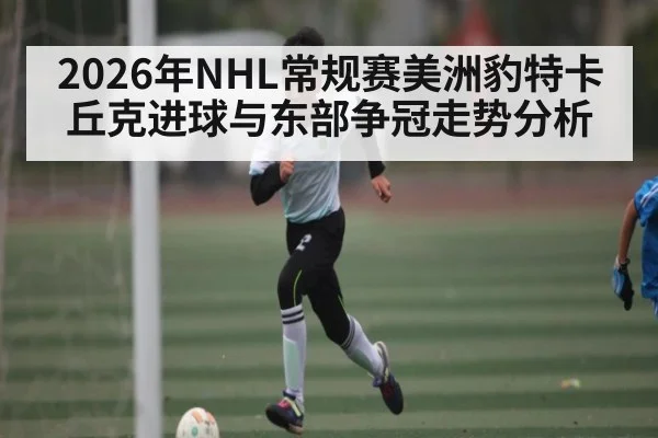 2026年NHL常规赛美洲豹特卡丘克进球与东部争冠走势分析（kaiyun）